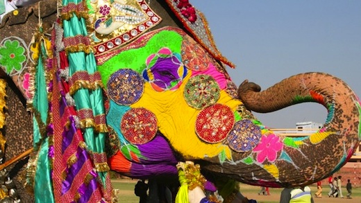 10-Day Incredible Indian Elephant Festival and Holi Festival of Colors Tour