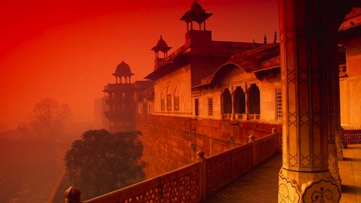 10-Day Incredible Indian Elephant Festival and Holi Festival of Colors Tour