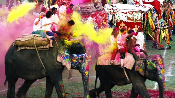 10-Day Incredible Indian Elephant Festival and Holi Festival of Colors Tour