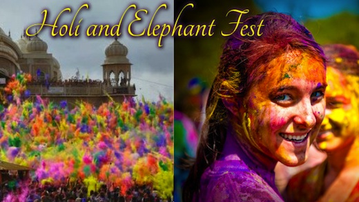 10-Day Incredible Indian Elephant Festival and Holi Festival of Colors Tour