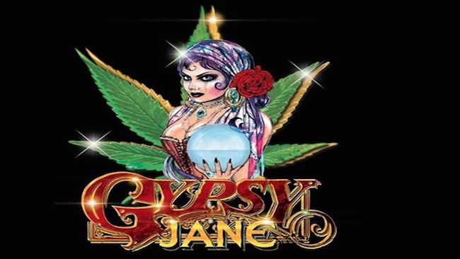 Saturday Concert Only ticket to Gypsy Jane Fest for ONE