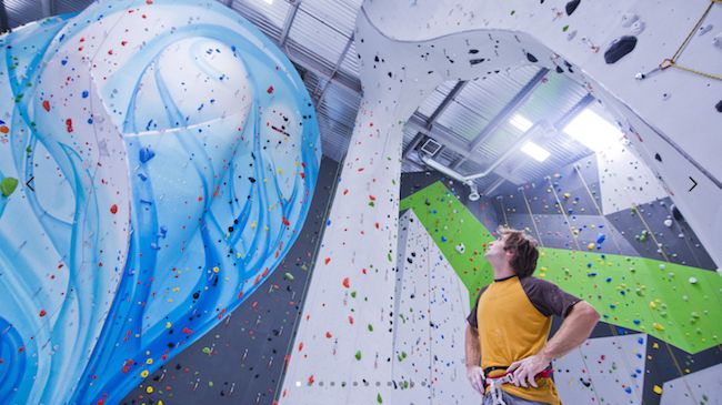 Intro to Climbing Class for One