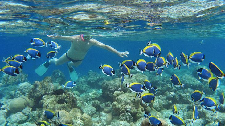 Catamaran Snorkel Tour For One