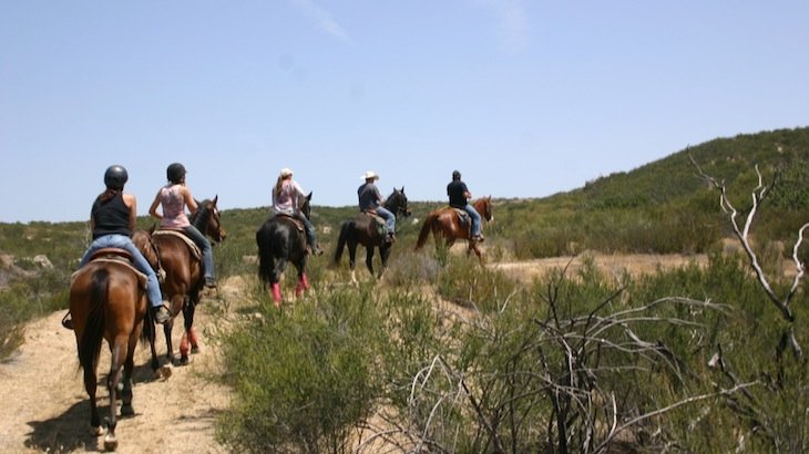 Vin Hesten Trail Rides Discount, Tickets, Deal