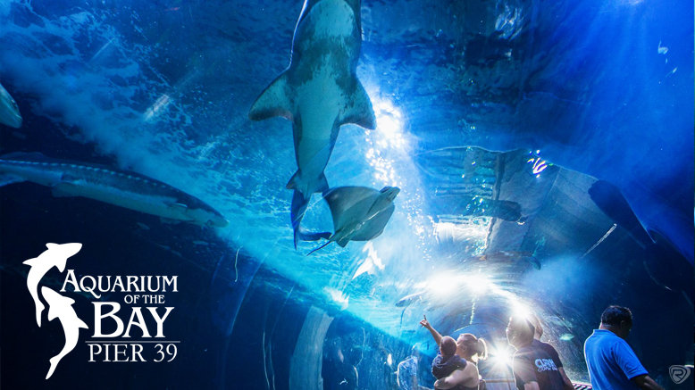 Aquarium of the Bay San Francisco, CA 26% Off - Aquarium Of Bay Pier 39 Rush49 Main Web1522367243