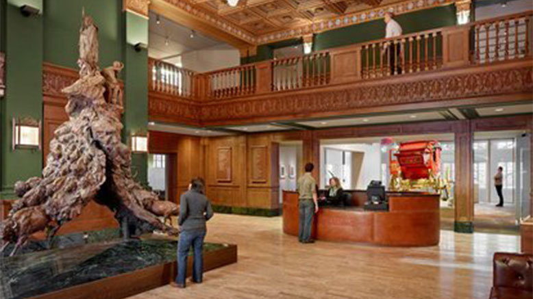 Museum Admission for 1 Adult (Ages 13+)