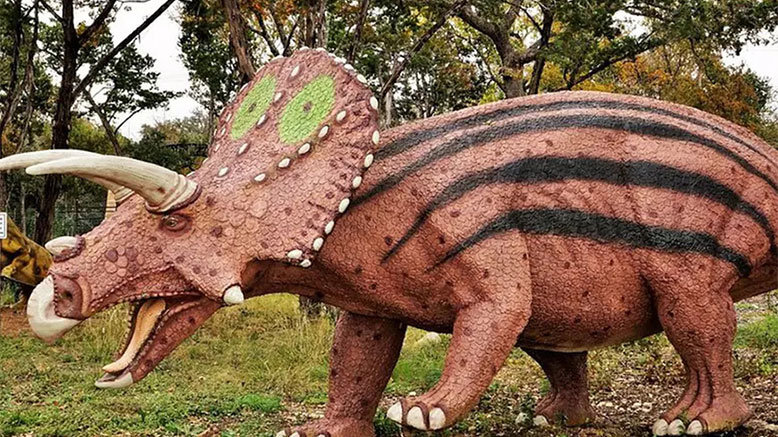 Museum Admission for 1 Adult (Ages 13+)