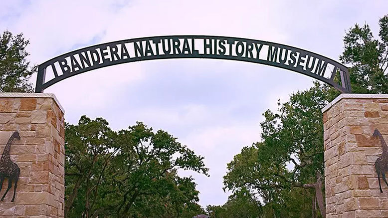 Museum Admission for 1 Adult (Ages 13+)
