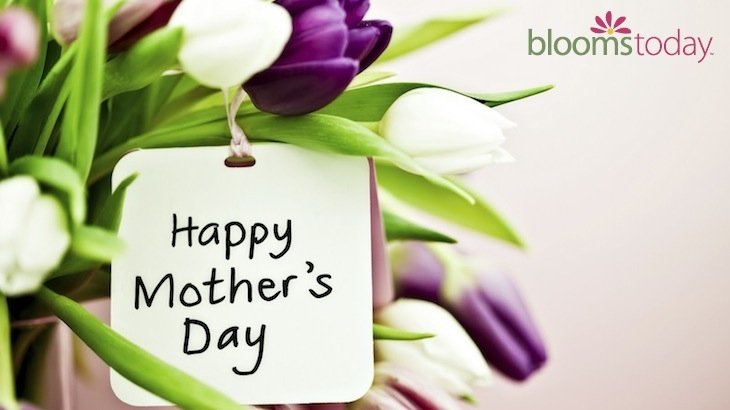 Mother's Day and Other Occasions' Flower Arrangements (50% Off)