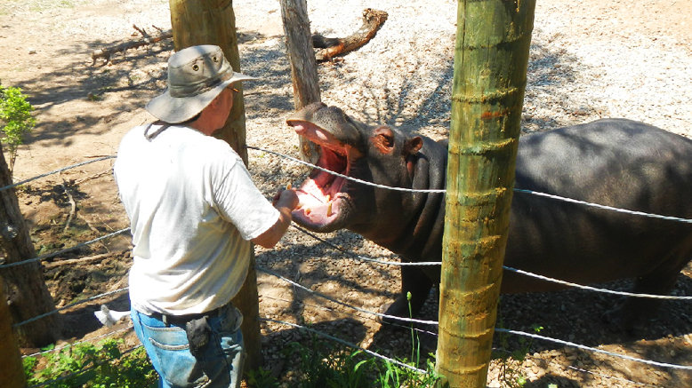 2 Adult General Admissions to Capital of Texas Zoo