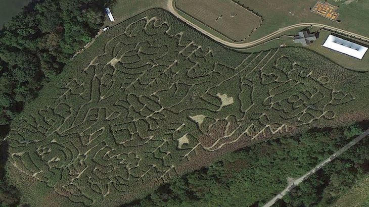 Entry into the Corn Maze 5K