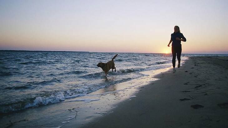Admission to the 5K Doggy Dash Cause for Paws-Running