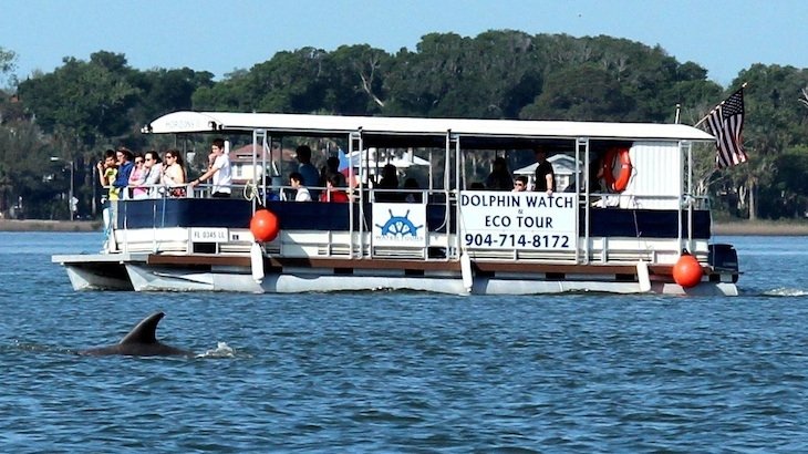 A 90-minute Dolphin-Safari Cruise for TWO