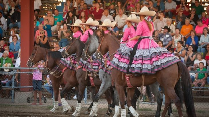 Family Four-Pack to the Festival of The Horse and Drum: Saturday - August 16