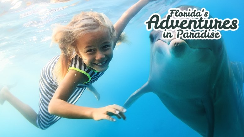 2 Hour Swim with Dolphins and Manatees for 2 People