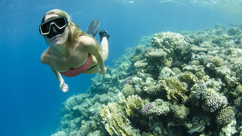2 Hours of Guided Snorkel Tours For Two