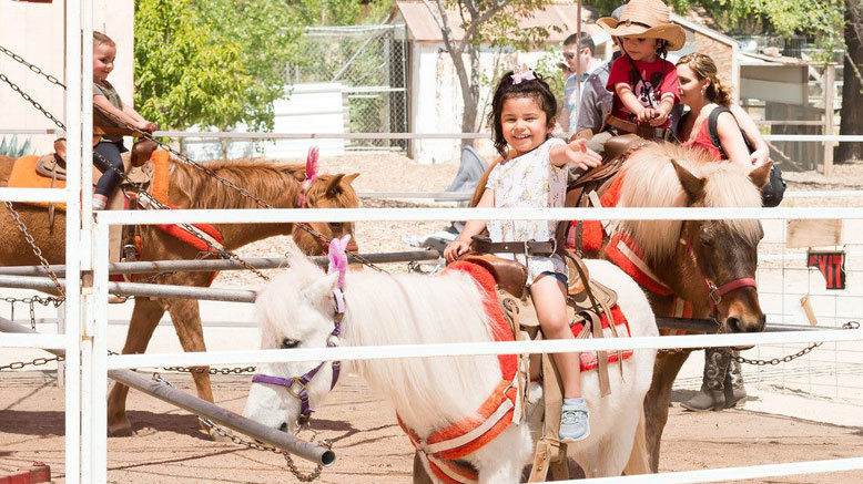 Admission for Two to the Petting Zoo and Your Choice of a Pony or Wagon Ride