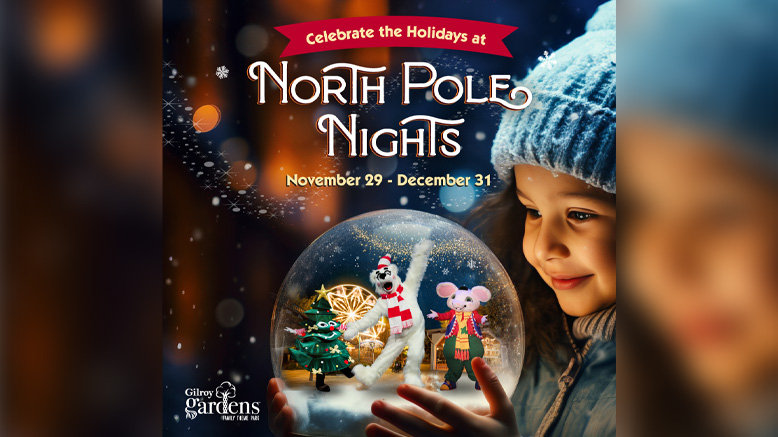 Good Any Day Admission for 1 Person (North Pole Nights)