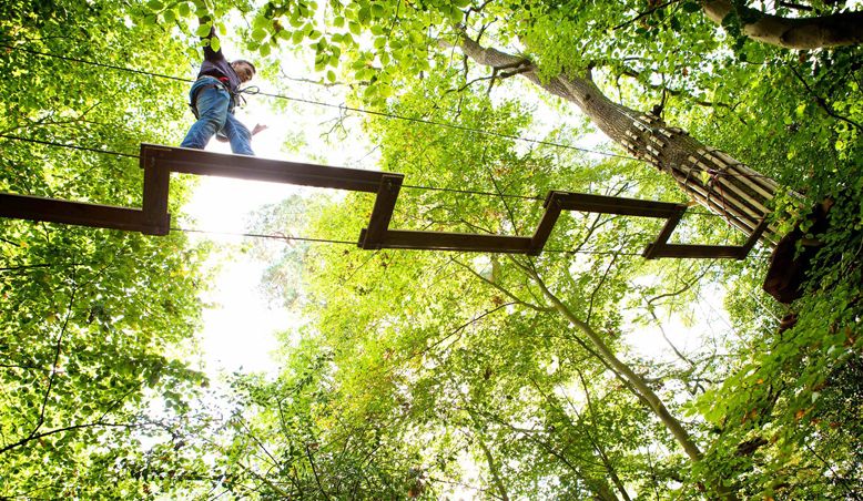 Adult Treetop Adventure