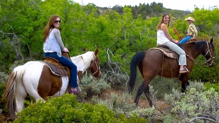 One-Hour Horseback Riding Lesson for Two at Hidden Haven Farms