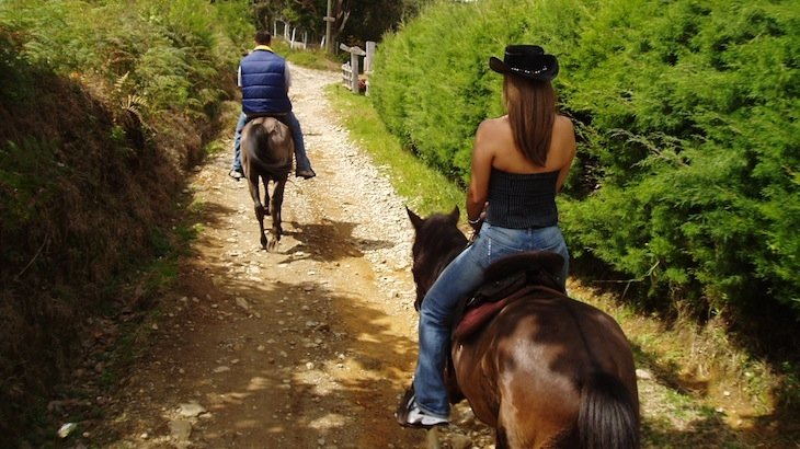 One-Hour Horseback Riding Lesson for Two at Hidden Haven Farms