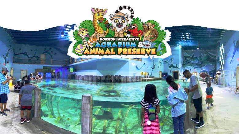 Single-Day Admission for 1 Adult (Ages 12+)