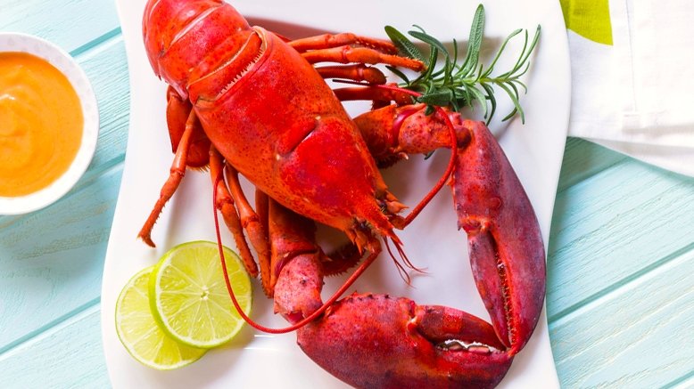 8 Live Maine Lobsters & Overnight Shipping