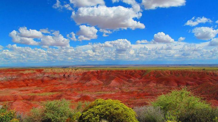 Admission to the Petrified Forest Marathon