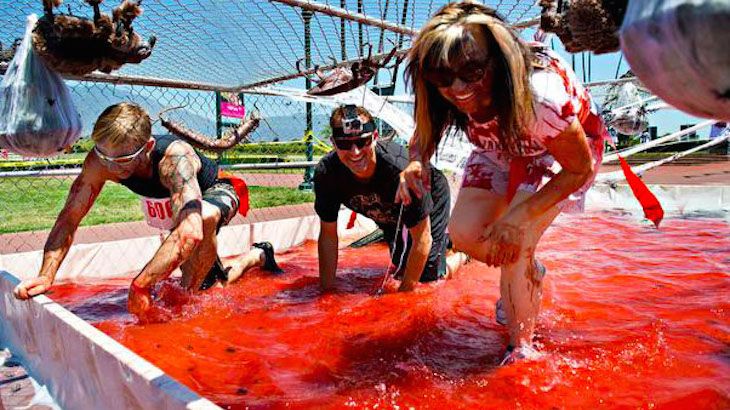 One Entry to Zombie Blood Run from 9:00 am to 5:30 pm