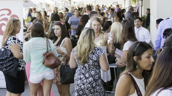 Stay Sassy with Sassy City Chicks!