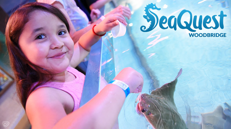 SeaQuest Woodbridge, NJ 35% Discount Deals