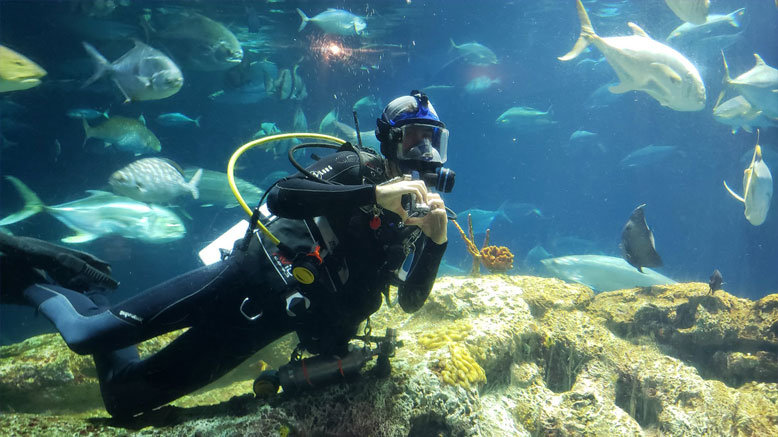 General Admission for 1 Adult (13+)