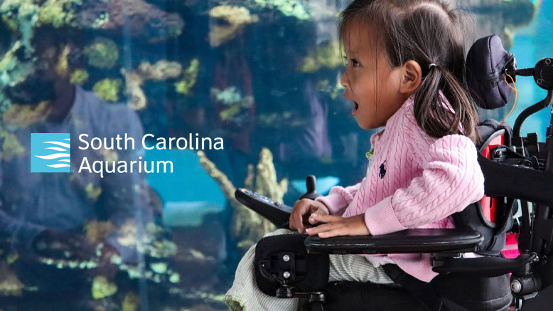 General Admission for 1 Adult (13+)