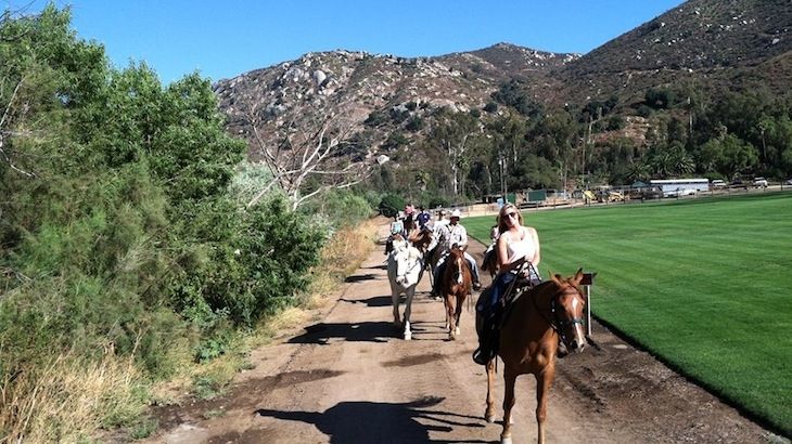 60-Minute Trail Ride for One