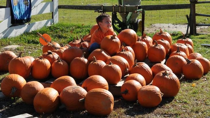 One Entry to Charmingfare Farms Children's Trick or Treat'