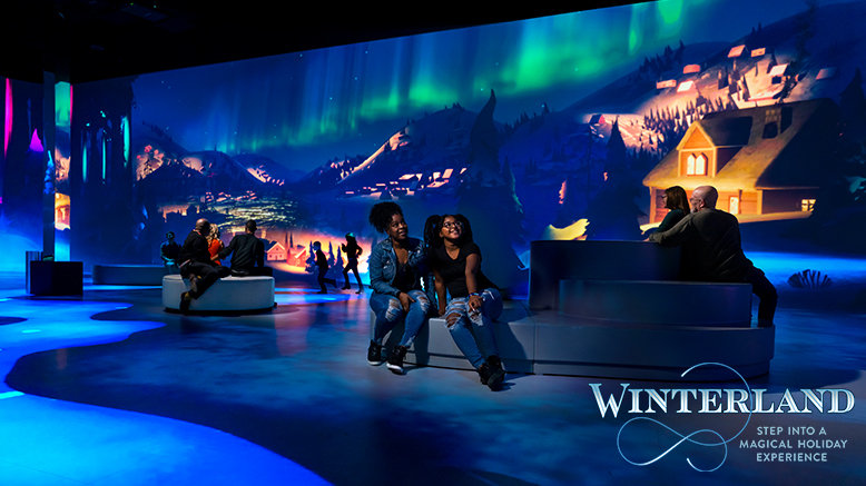 Adult All-Inclusive Winterland Experience (Ages 13-64)