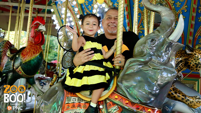 1 Adult Any Day Admission