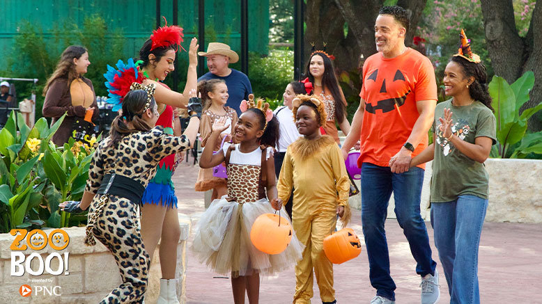 1 Adult Any Day Admission