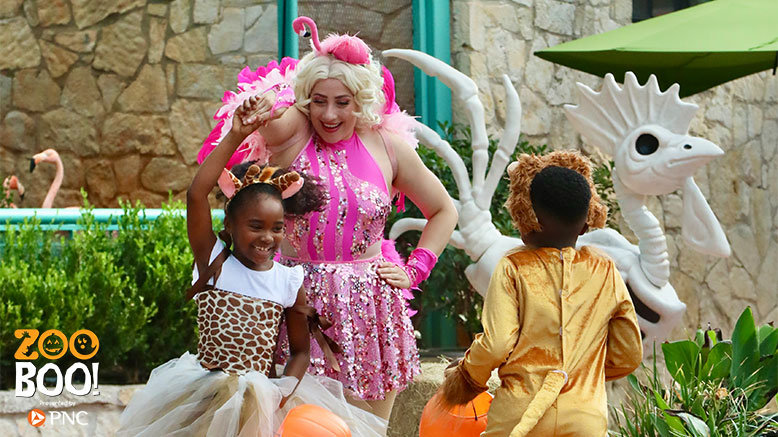 1 Adult Any Day Admission