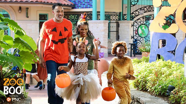 1 Adult Any Day Admission