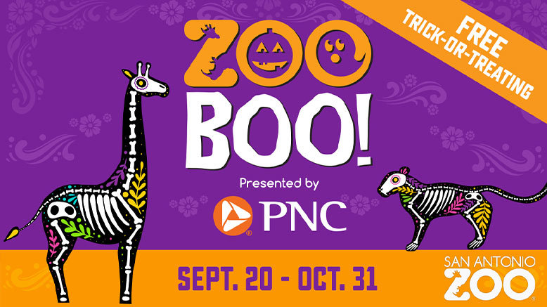 1 Adult Any Day Admission