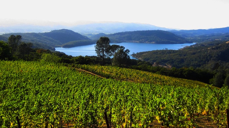 50% Off Eight-Hour Wine Tour through Napa Valley and Sonoma