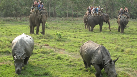 Guided 9-Night All Nepal Tour INCL. Elephant Safari