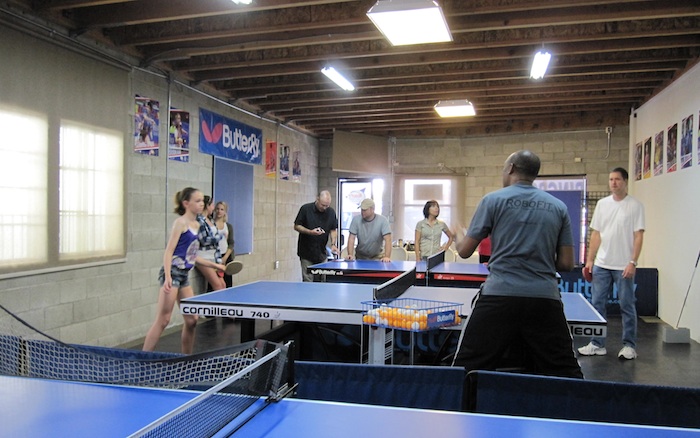 an Outing of Table Tennis Fun for 2   private lesson