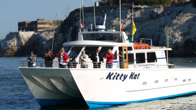 The Coastal Wildlife Eco Tour offered by San Francisco Whale Tours