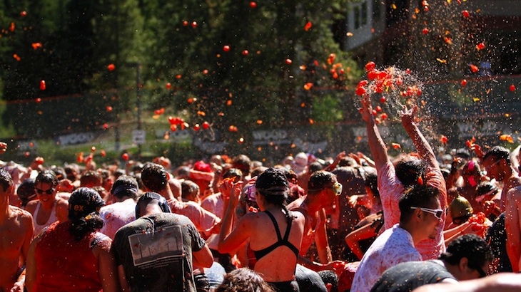 A Tomato Battle and Beer Festival