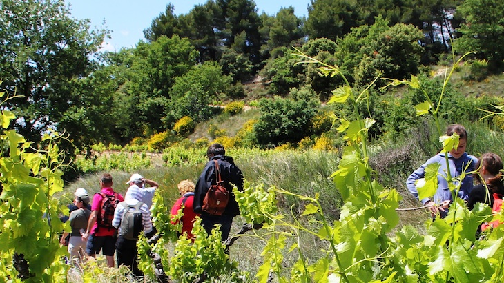 54% Off Guided Hike & Wine Tasting in New York incl. Transportation